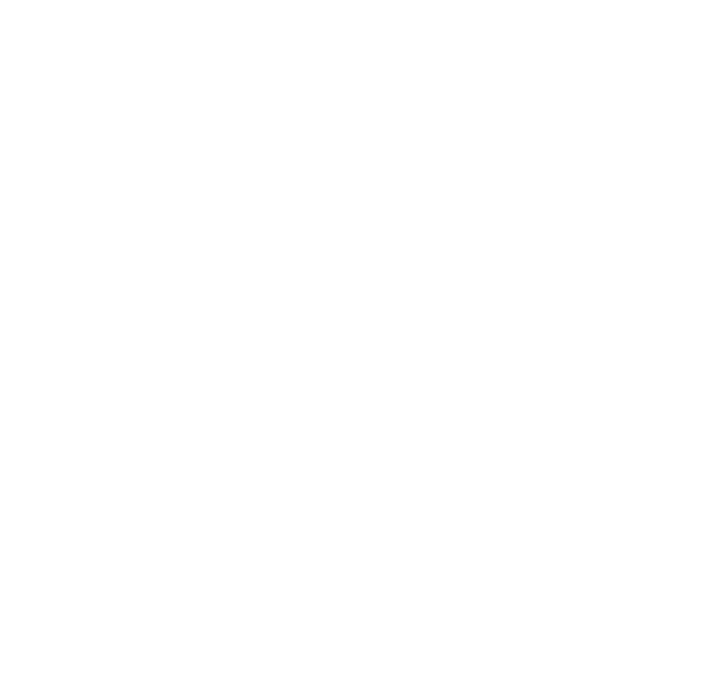 THE OG - OVERSIZED T-SHIRT